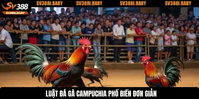 Luật đá gà Campuchia phổ biến đơn giản