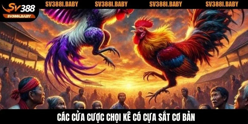 Các cửa cược chọi kê có cựa sắt cơ bản