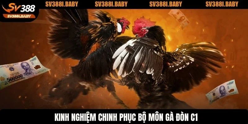 Kinh nghiệm chinh phục bộ môn đá gà đòn C1