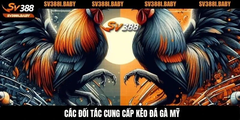 Các đối tác cung cấp kèo đá gà Mỹ