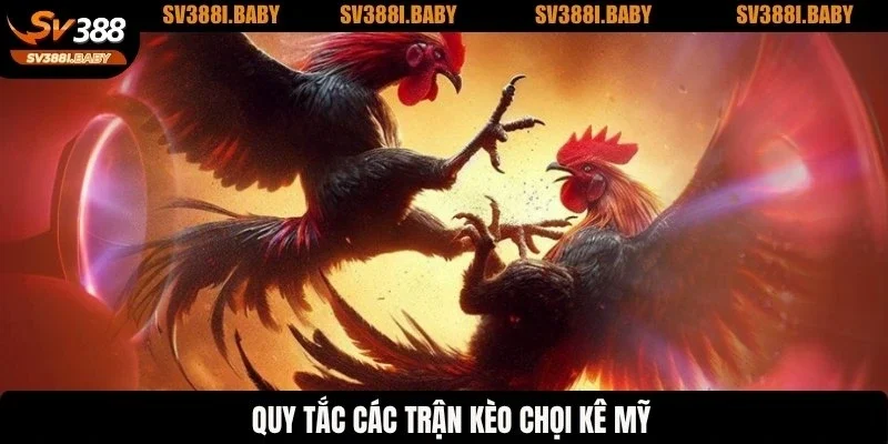 Quy tắc các trận kèo chọi kê Mỹ