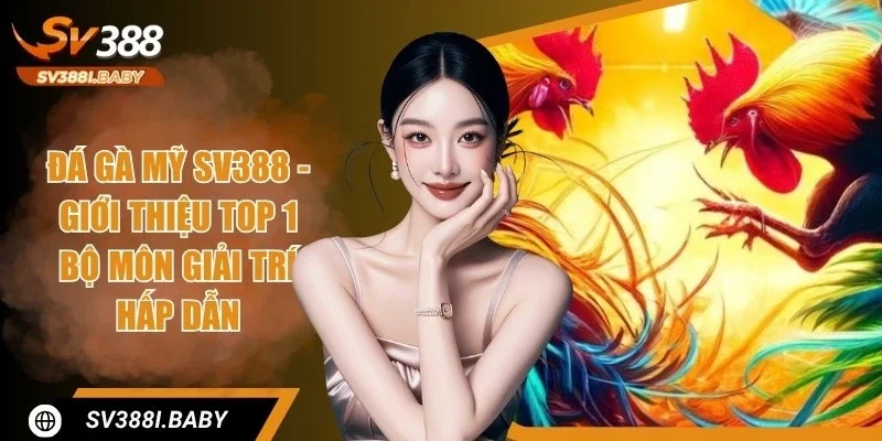 Đá Gà Mỹ SV388 - Khám Phá Hình Thức Giải Trí Chuẩn Quốc Tế