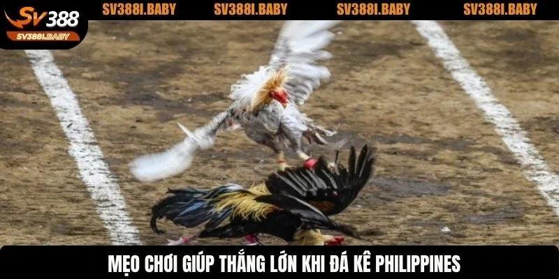 Mẹo chơi giúp thắng lớn khi đá kê Philippines