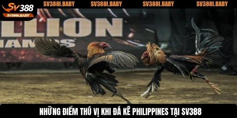 Những điểm thú vị khi đá kê Philippines tại SV388
