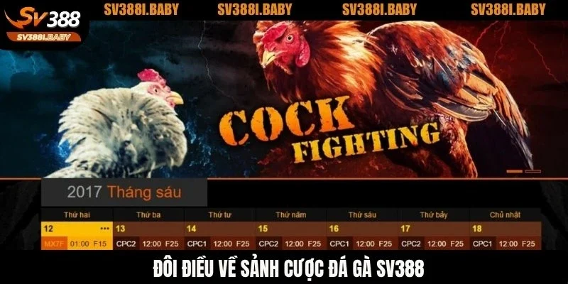 Đôi điều về sảnh cược đá gà SV388