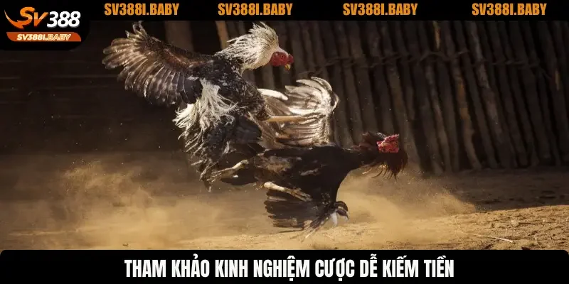 Tham khảo kinh nghiệm cược dễ kiếm tiền