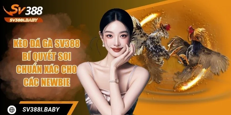 Kèo Đá Gà SV388 - Đa Dạng Lựa Chọn, Soi Kèo Chắc Thắng