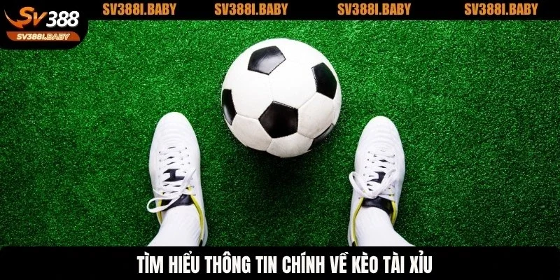 Tìm hiểu thông tin chính về kèo tài xỉu