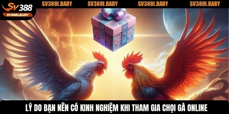 Lý do bạn nên có kinh nghiệm khi tham gia chọi gà online