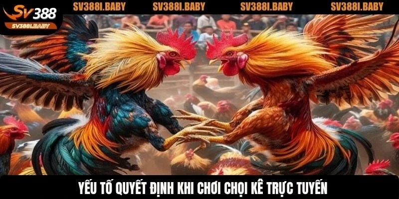 Yếu tố quyết định khi chơi chọi kê trực tuyến