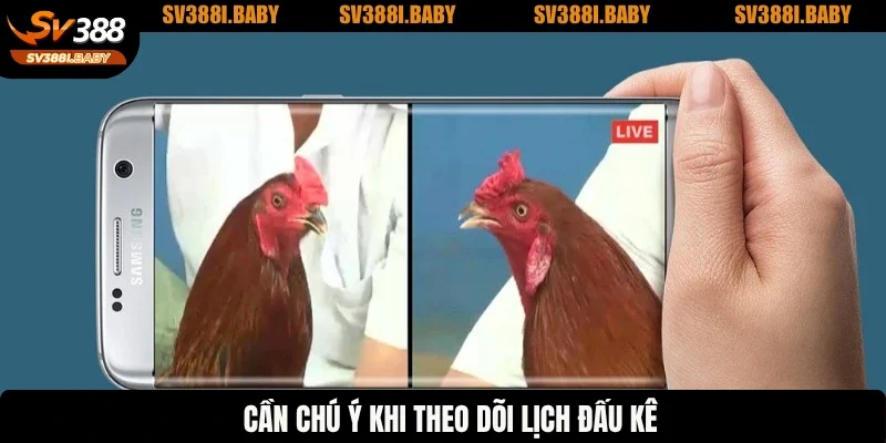 Cần chú ý khi theo dõi lịch đấu kê