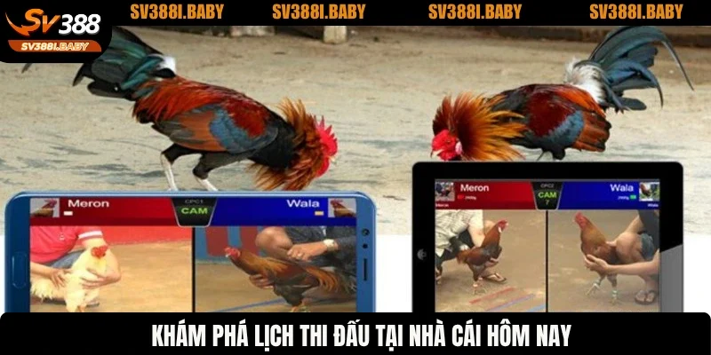 Khám phá lịch thi đấu tại nhà cái hôm nay