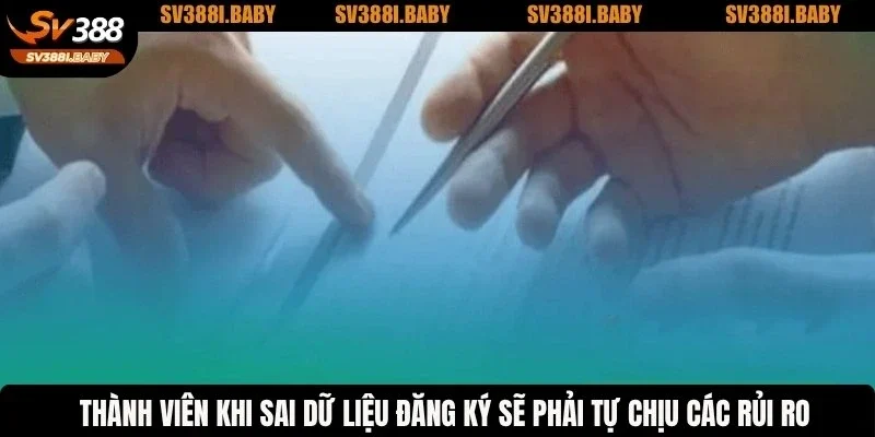 Thành viên khi sai dữ liệu đăng ký sẽ phải tự chịu các rủi ro