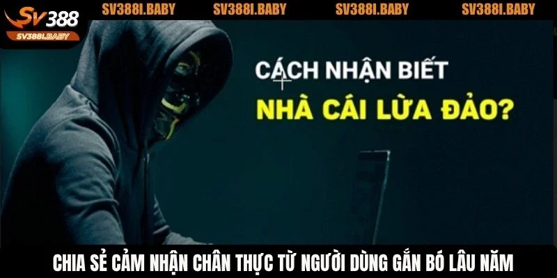 Chia sẻ cảm nhận chân thực từ người dùng gắn bó lâu năm