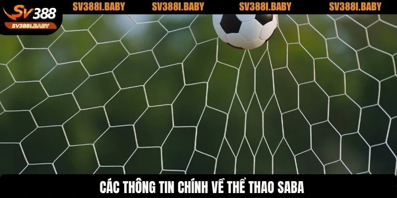 Các thông tin chính về thể thao SABA