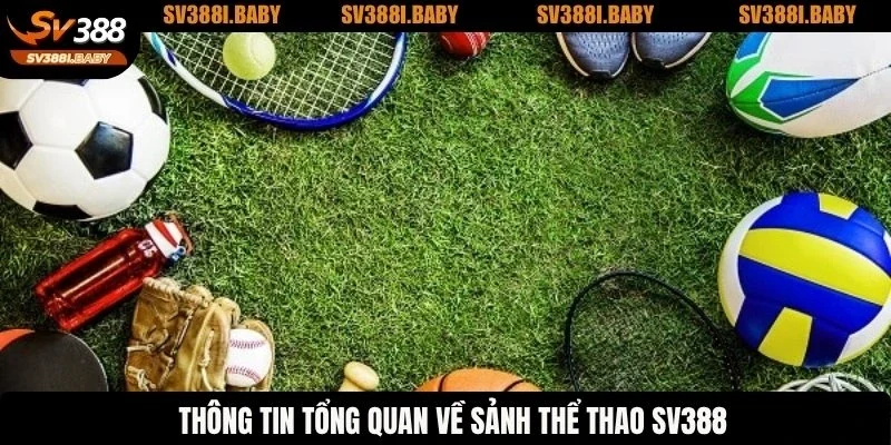 Thông tin tổng quan về sảnh thể thao trực tuyến