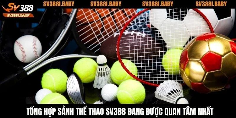 Tổng hợp sảnh thể thao SV388 đang được quan tâm nhất